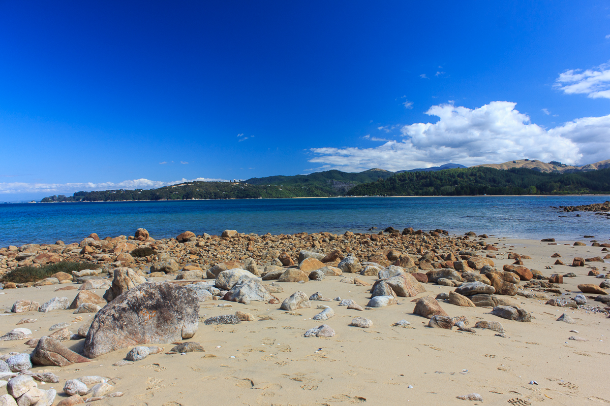Strand im Abel Tasman NP