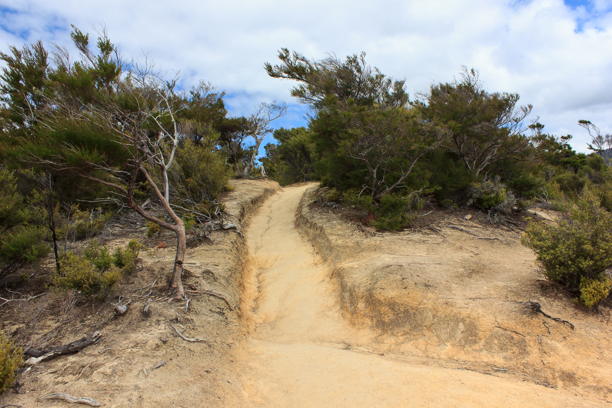 Wanderweg im Abel Tasman NP