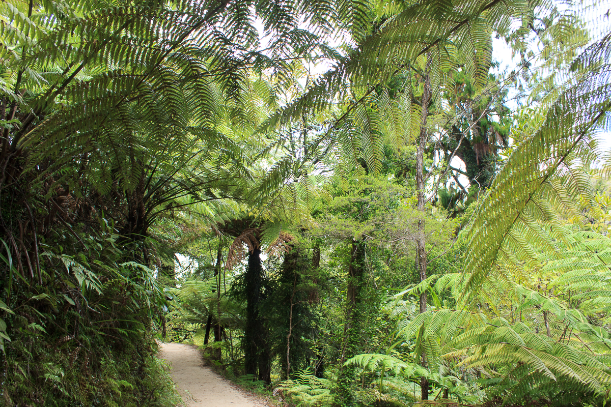 Wanderweg im Abel Tasman NP