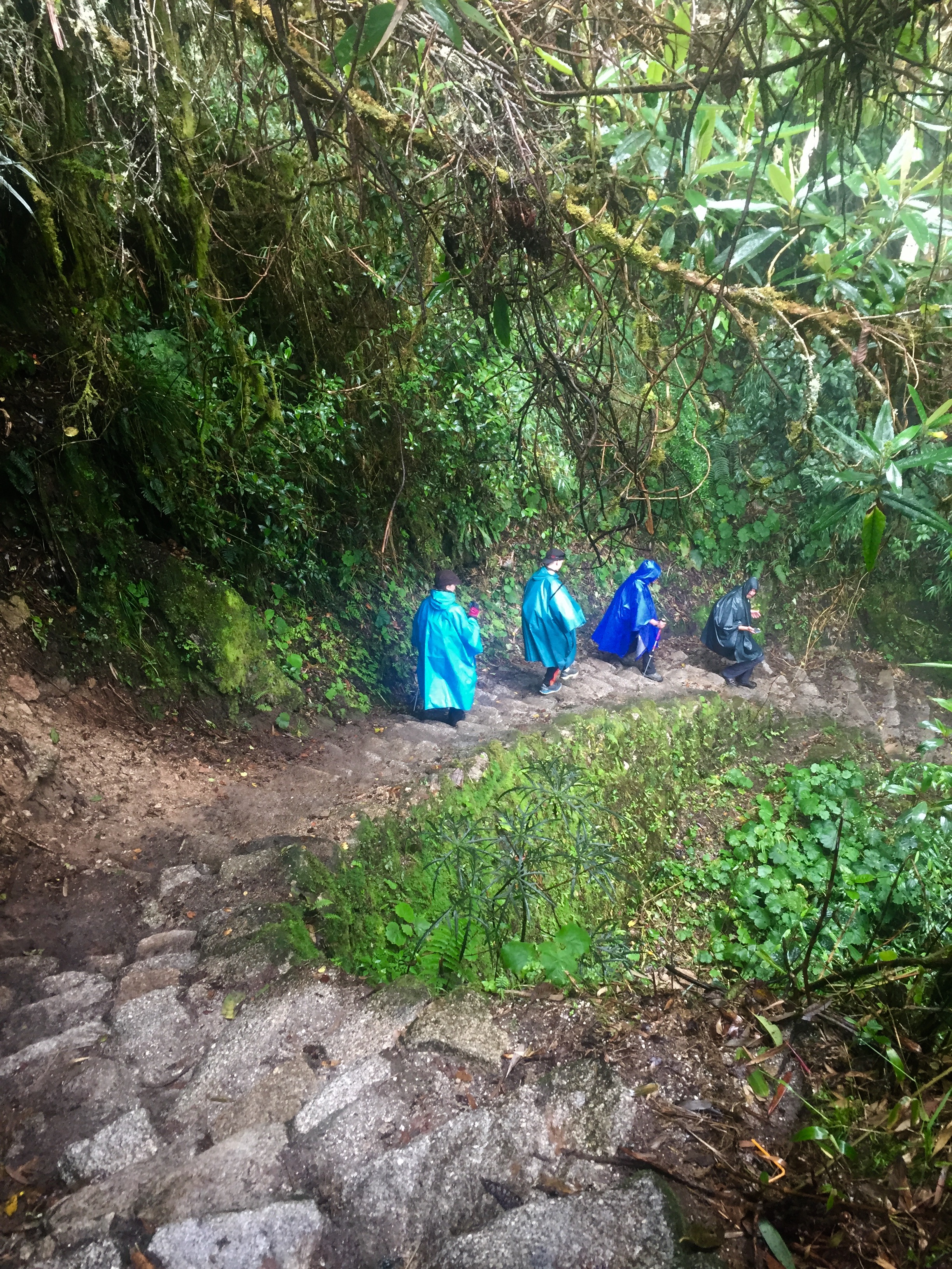 Inka Stufen im Regen